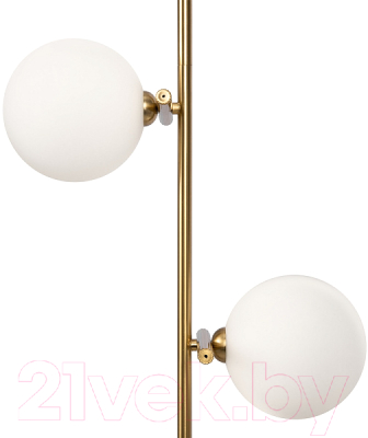 Потолочный светильник Freya Blossom FR5259PL-02BS