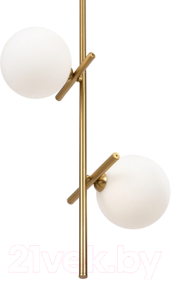 Потолочный светильник Freya Blossom FR5259PL-02BS