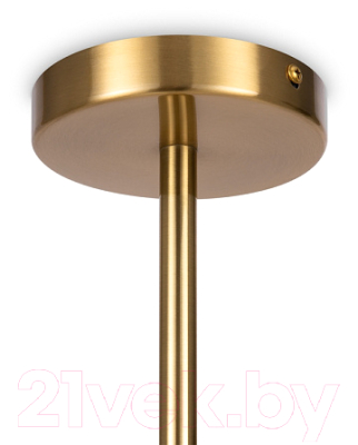 Потолочный светильник Freya Blossom FR5259PL-02BS