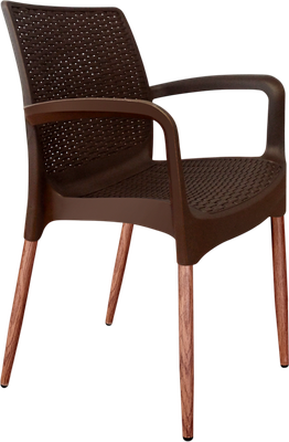 Стул садовый Sheffilton SHT-ST68/S424-С - фото