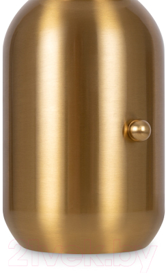 Прикроватная лампа Freya Cherie FR5287TL-01BS