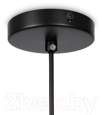 Потолочный светильник Freya Eleon FR5218PL-01B1