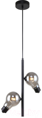 Потолочный светильник Freya Evidence FR5372PL-02B - фото