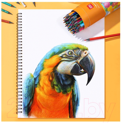 Набор цветных карандашей Deli 7073