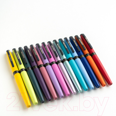 Ручка перьевая Малевичъ С конвертером / 196404