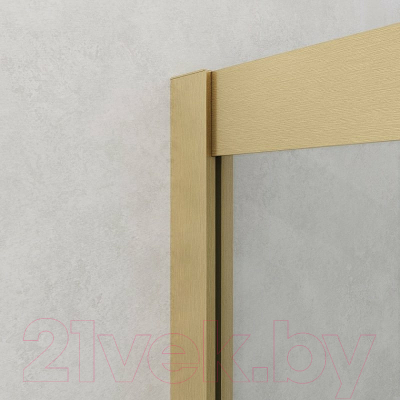 Душевой уголок Cezares RELAX-304-A-2-100-C-BORO (брашированное золото)