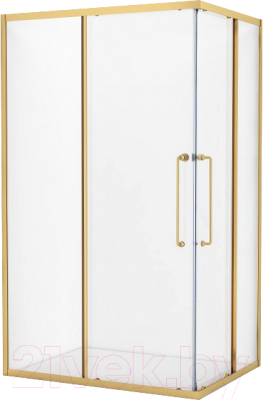 Душевой уголок Cezares RELAX-304-AH-2-120/90-C-BORO - фото