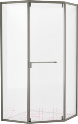 Душевой уголок Cezares RELAX-304-P-1-100-C-GM (оружейная сталь) - фото
