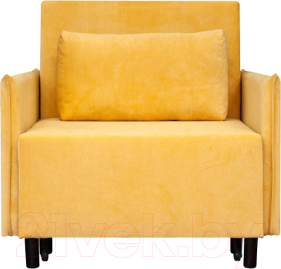 Кресло-кровать Домовой Визит-3 1 (80)