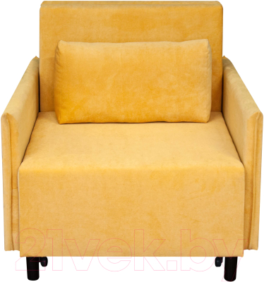 Кресло-кровать Домовой Визит-3 1 (80)