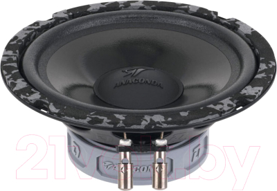 Компонентная АС DL Audio Anaconda 165 Comp - фото