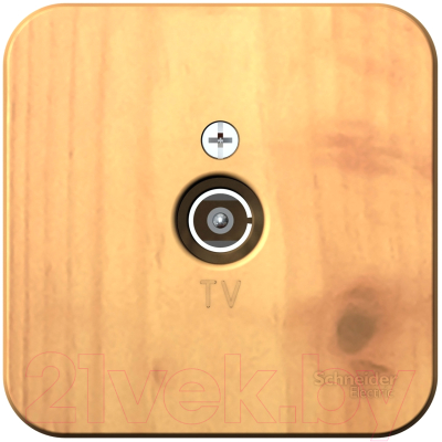 Розетка Schneider Electric Blanca BLNTA000015 - фото