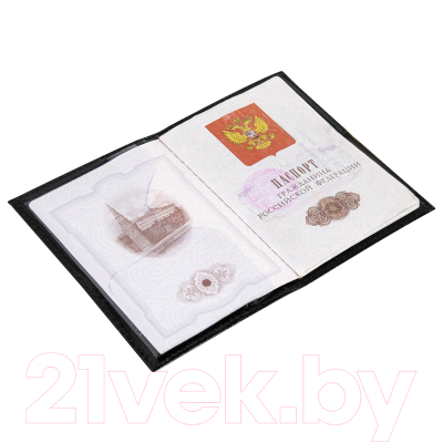 Обложка на паспорт Brauberg 3D герб + тиснение / 238201