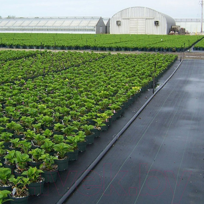 Укрывной материал Lanex Агроткань РП 1.60х5м / 7603