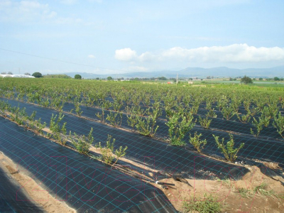 Укрывной материал Lanex Агроткань РП 1.60х10м / 7618