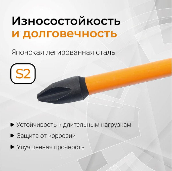 Набор бит Vira Rage S2 PH2x70мм / 554127