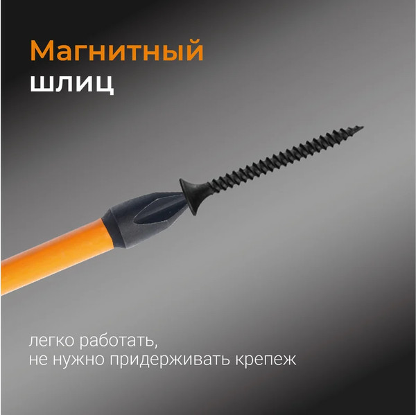 Набор бит Vira Rage S2 PH2x70мм / 554127