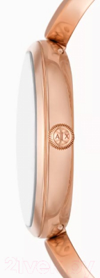 Часы наручные женские Armani Exchange AX5384