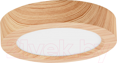 Точечный светильник TDM SQ0329-0414 - фото