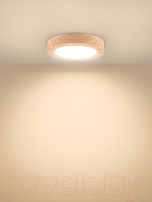 Точечный светильник TDM SQ0329-0414