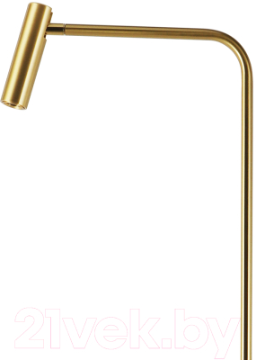 Торшер Kinklight Алери 08070-F.20