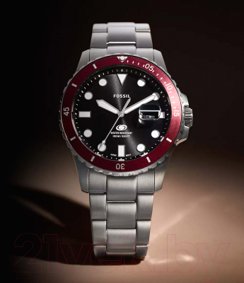 Часы наручные мужские Fossil FS6013