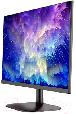 Монитор NPC MD2409-A