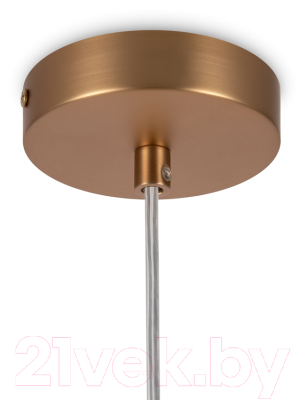 Потолочный светильник Maytoni Basic Form MOD521PL-01G1