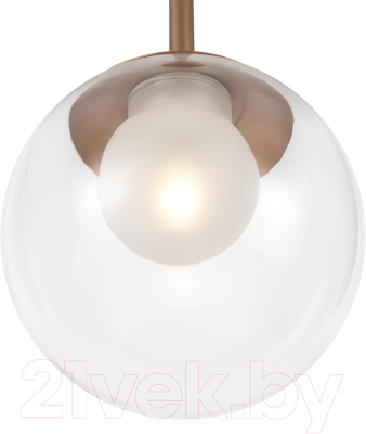 Потолочный светильник Maytoni Basic Form MOD521PL-01G1