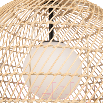 Потолочный светильник Maytoni Cane MOD204PL-01BG