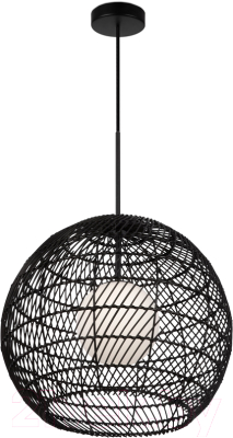 Потолочный светильник Maytoni Cane MOD204PL-01B - фото