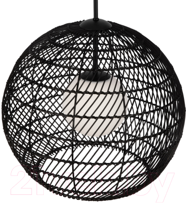 Потолочный светильник Maytoni Cane MOD204PL-01B