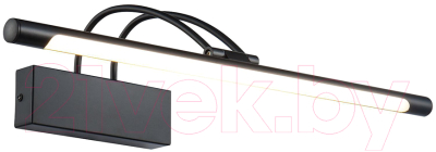 Подсветка для картин и зеркал Maytoni Finelli MIR004WL-L12B - фото