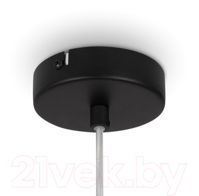 Потолочный светильник Maytoni Duality MOD271PL-01B8