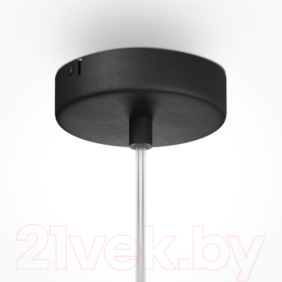 Потолочный светильник Maytoni Duality MOD271PL-01B9