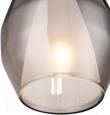 Потолочный светильник Maytoni Duality MOD271PL-01B9