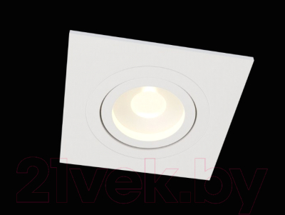 Точечный светильник Maytoni Atom DL024-2-01W