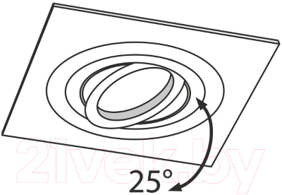 Точечный светильник Maytoni Atom DL024-2-01W