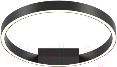 Потолочный светильник Maytoni Rim MOD058CL-L25BK - фото