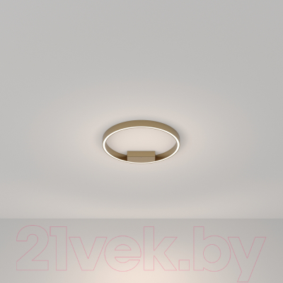 Потолочный светильник Maytoni Rim MOD058CL-L25BSK