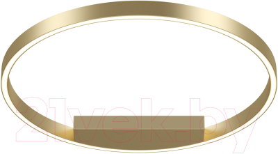 Потолочный светильник Maytoni Rim MOD058CL-L35BSK - фото