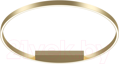 Потолочный светильник Maytoni Rim MOD058CL-L50BSK - фото