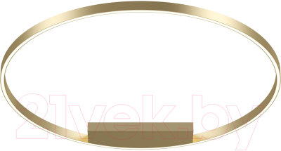 Потолочный светильник Maytoni Rim MOD058CL-L65BSK - фото