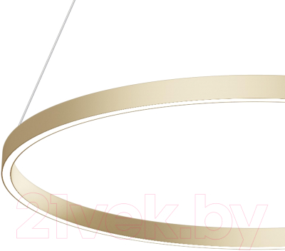 Потолочный светильник Maytoni Rim MOD058PL-L42BSK