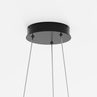 Потолочный светильник Maytoni Rim MOD058PL-L54BK