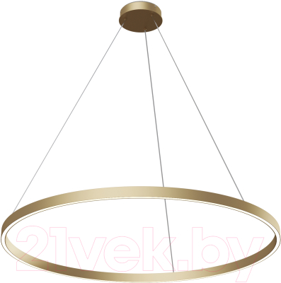 Потолочный светильник Maytoni Rim MOD058PL-L54BSK - фото