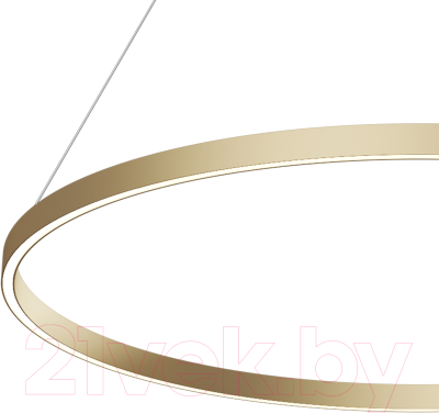 Потолочный светильник Maytoni Rim MOD058PL-L54BSK