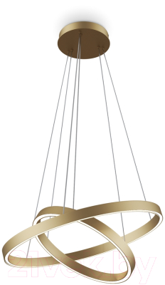 Потолочный светильник Maytoni Rim MOD058PL-L55BSK