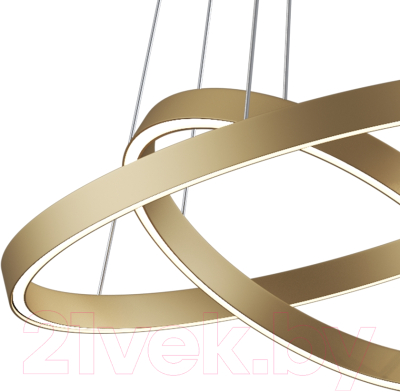 Потолочный светильник Maytoni Rim MOD058PL-L55BSK