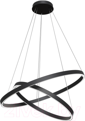 Потолочный светильник Maytoni Rim MOD058PL-L74BK - фото